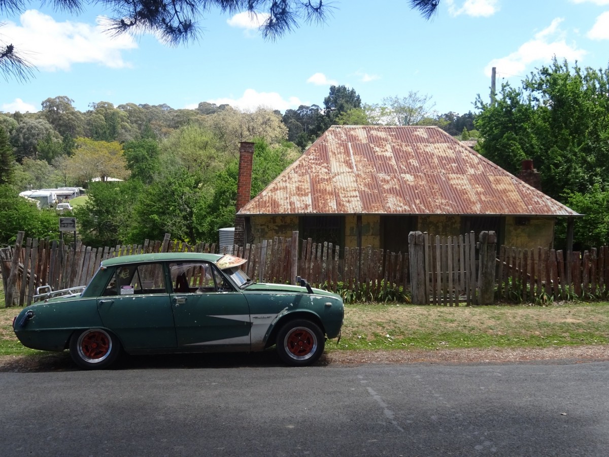 2017 Mudgee Nationals  (925).jpg