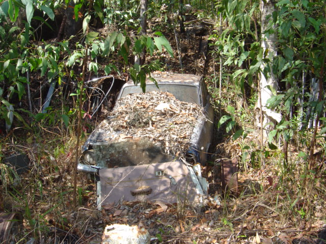 2011_1012Image0001.JPG
